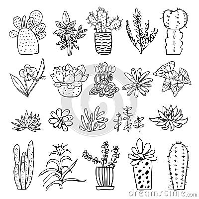 Houseplants, cactuses and succulents set. Vector hand drawn outline black and white sketch illustration Vector Illustration